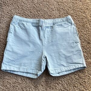 Free Fly Apparel Light Blue Men's Flat Front Shorts